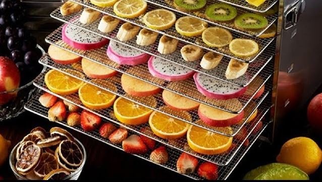 Choosing the Right Dehydrator: A Look at Types of Commercial Dehydrators