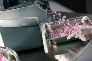 Processing Excellence: A Guide to the Best Commercial Food Processors